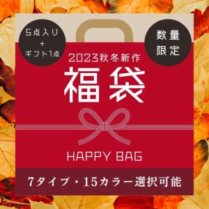 ニット 【2024福袋】5点セット ギフト1点 厚生地 やや厚生地 選べる7タイプ  体型カバー 伸びる 送料無料 翌日発送