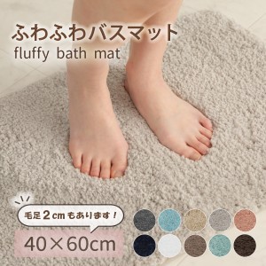 バスマット 40×60 (毛足2cm)  足ふきマット 極細繊維 トイレマット マット 玄関マット 速乾 抗菌 防臭 エステ ふわふわ おしゃれ 送料無