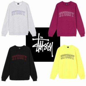 海外限定 ステューシー Stussy トレーナー 刺繍 ワールドツアー M dev