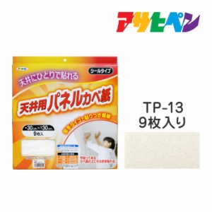 厚手タイプ天井用パネルカベ紙 アサヒペン 9枚入り TP-13 壁紙 かべ紙