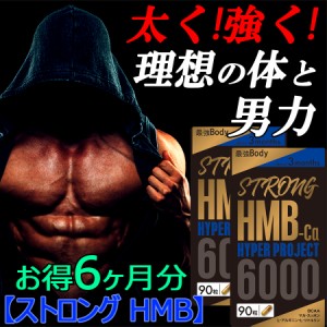 お得6ヶ月分 ストロング HMB クレアチン カルニチン アルギニン シトルリン 太く 強く 気力 活力 男性 BCAA 亜鉛 筋力 プロテイン 人気ラ