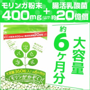 healthylife モリンガかぞく【乳酸菌 腸活乳酸菌 もち麦 腸活ダイエット 腸内細菌 腸内環境 腸内フローラ ポリフェノール 水溶性食物繊維