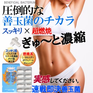 スマート 乳酸菌 ビフィズス菌 ダイエット サプリメント すっきり 菌活 腸活 腸内フローラ 速戦即決 善玉菌  燃焼 善玉菌 納豆菌 ガセリ