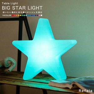 テーブルライト BIG STAR LIGHT（ビッグスターライト）〔LED 照明 テーブル ライト スター 星 星型 防水 調光 コードレス 充電式 イルミ