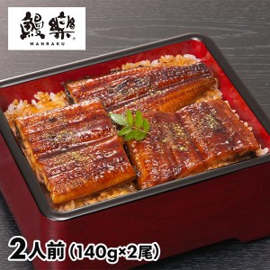 大森淡水 宮崎「鰻楽」九州産うなぎ蒲焼 0130354 1セット（280g：140g×2尾）