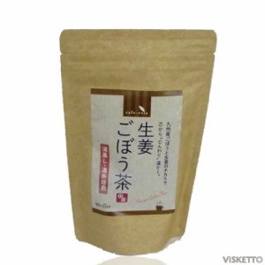 温まる生姜ごぼう茶 2g×30包入り (GINGER TEA 美容専売品 ダイエット 芳醇な香り 無農薬 国産 九州産 ティーバッグ ノンカフェイン エイ