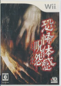 【Wii】恐怖体感 呪怨 （ケース・説あり）【中古】