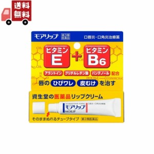 【第3類医薬品】資生堂　モアリップN　8g