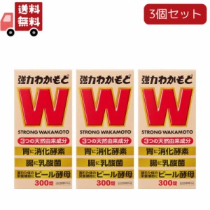 3個セット 【指定医薬部外品】わかもと 強力わかもと 300錠 (わかもと製薬) 下痢止め 整腸薬