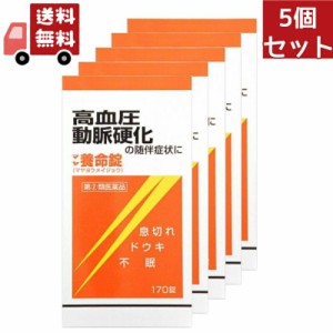  5個セット 【第(2)類医薬品】マヤ養命錠(170錠)[高血圧症、動脈硬化症に伴うドウキ、息切れ 生薬]