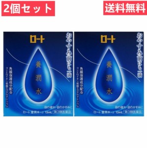 送料無料　2個セット【第3類医薬品】 ロート養潤水α 13ml | 目薬  かすみ 目の疲れ 眼病予防 ようじゅんすい 【代引不可】