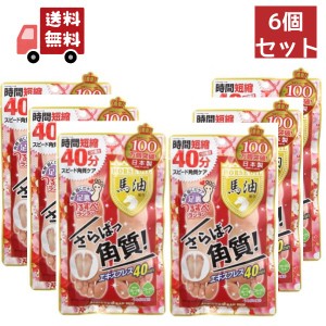 送料無料 6個セット  足裏ランラン　さらばっ角質エキスプレス　馬油配合　１回分30ml×2枚入【4540474777900】 【代引不可】