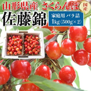 山形県産 さくらんぼ「佐藤錦」家庭用 バラ詰 1kg(500g×2) L〜2L玉混合 お買い得 初夏ギフト 高級フルーツ 果物 …