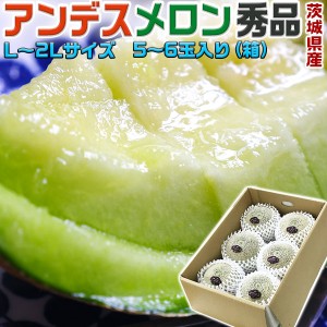 茨城 メロン アンデスメロン 秀品 L〜2Lサイズ 5〜6玉入り （箱買い） 茨城県産 初夏ギフト 父の日 ギフト プレゼント 贈答品 …