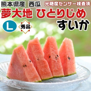 熊本産 すいか 秀品 Lサイズ 1.5kg 1玉入 スイカ小玉 夢大地 ひとりじめ 熊本県産西瓜 母の日 父の日 プレゼント フルーツ 果物 お中元…