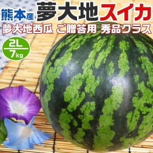 熊本産 夢大地 すいか 秀品 2Lサイズ 7kg 1玉入 スイカ 熊本県産西瓜 贈答用 母の日 父の日 プレゼント フルーツ 果物 お中元・…