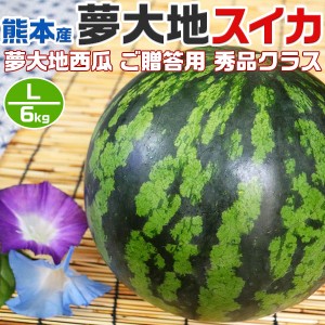 熊本産 夢大地 すいか 秀品 Lサイズ 6kg 1玉入 スイカ 熊本県産西瓜 贈答用 母の日 父の日 プレゼント フルーツ 果物 お中元・…