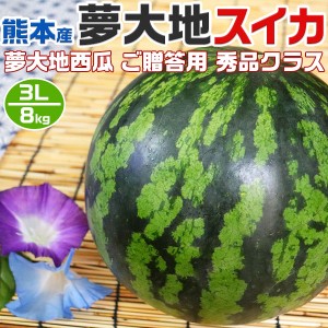 熊本産 夢大地 すいか 秀品 3Lサイズ 8kg 1玉入 スイカ 熊本県産西瓜 贈答用 母の日 父の日 プレゼント フルーツ 果物 お中元・…