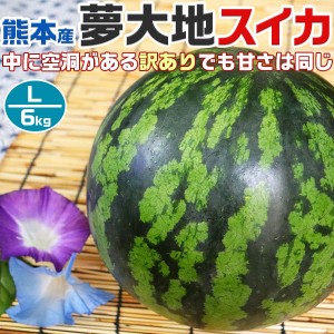 熊本産 夢大地 すいか 訳あり Lサイズ 6kg 1玉入 スイカ 熊本県産西瓜 母の日 父の日 プレゼント フルーツ 果物 お中元・…