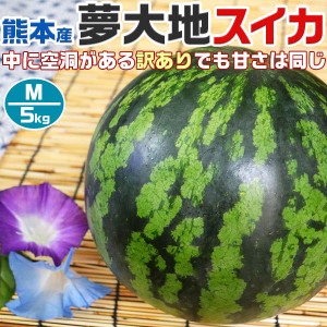 熊本産 夢大地 すいか 訳あり Mサイズ 5kg 1玉入 スイカ 熊本県産西瓜 母の日 父の日 プレゼント フルーツ 果物 お中元・…