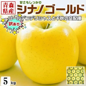 訳あり りんご 5kg 青森県 シナノゴールド 小玉 22-23玉入【クール便指定】林檎・家庭用 お買い得品・家族への…