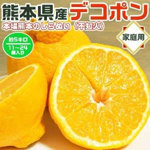 熊本 不知火 みかん デコポン ご家庭用(訳あり) 5kg 11〜24個入 光センサー識別合格品｜本場【熊本県産】高級フルーツ 贈物 …