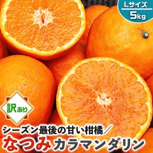 なつみ みかん 訳あり 5kg Lサイズ (カラマンダリンからの交配種)【愛媛県産】高糖度 柑橘【シーズン最後の甘い系みかん】果物・…