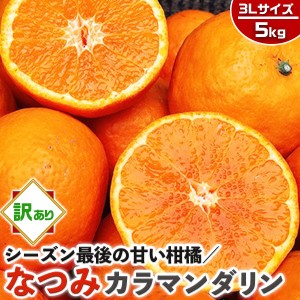 なつみ みかん 訳あり 5kg 3Lサイズ (カラマンダリンからの交配種)【愛媛県産】高糖度 柑橘【シーズン最後の甘い系みかん】果物・…