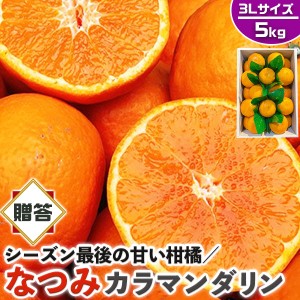 なつみ みかん 秀品・贈答用 5kg 3Lサイズ (カラマンダリンからの交配種)【愛媛県産】高糖度 柑橘【シーズン最後の甘い系みかん】果物…