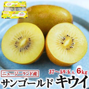 キウイフルーツ 約6kg サンゴールド 大箱37-59玉入【クール便指定】Zespri Kiwi Fruit ニュージーランド産 秋のギフト・…