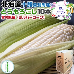 お中元(8月下旬〜9月中旬出荷) 北海道 十勝 幕別町産 とうもろこし 雪の妖精 (シルバーコーン…