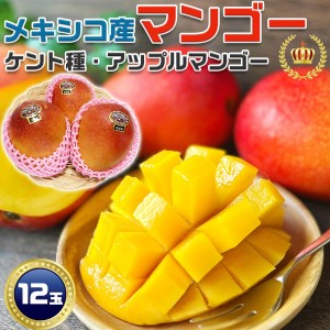 メキシコ産 アップルマンゴー ケント種 約 5.8kg 前後｜12個【世界の果物シリーズ・メキシコ産マンゴー・高糖度】果物 希少…