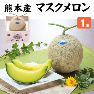 メロン マスクメロン 1玉 贈答用「果物の王様」百貨店品質の高級品・プレゼント 果物 敬老の日 感謝 母の日 父の日 お中元 …