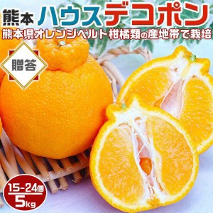 デコポン 不知火 5kg /1箱大玉（15-24個）贈答用ギフト・熊本県産【オレンジベルト】