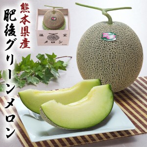 肥後グリーンメロン 1.7kg × 1玉 贈答用 熊本県産 メロン 「果物の王様」 糖度は16度以上 百貨店品質の高級品 化粧箱入りギフト