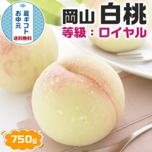 お中元 ギフト 岡山白桃・岡山県産 3玉 合計750g（等級：ロイヤル指定）｜化粧箱入り 濃厚 高糖度 贈答用 高級果物 フルーツ 夏…