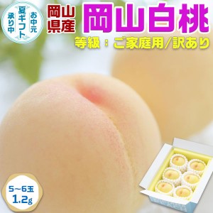 お中元 ギフト 岡山白桃・岡山県産 5〜6玉 1.2kg（家庭用・訳あり）｜お買得 濃厚 高糖度 家庭用 高級果物 …