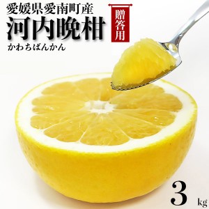 河内晩柑 3kg 秀品・ギフト用 宇和ゴールド同品種 愛媛県愛南町産・L-3Lサイズ混合 柑橘みかん 果物 フルーツ 贈答用ギフトにも