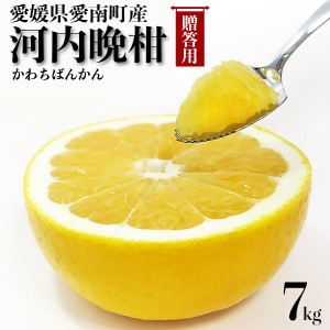 河内晩柑 7kg 秀品・ギフト用 宇和ゴールド同品種 愛媛県愛南町産・L-3Lサイズ混合 柑橘みかん 果物 フルーツ 贈答用ギフトにも