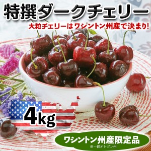 アメリカンチェリー 特選ダークチェリー ワシントン州産 大粒ダークチェリー さくらんぼ【4kg】高級ワシントン州 ダークチェリー…