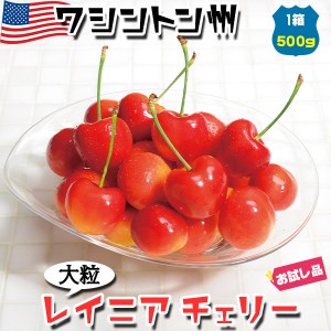 まもなく終了！ ワシントン州 アメリカンチェリー レイニアチェリー 大粒【500g】高糖度…