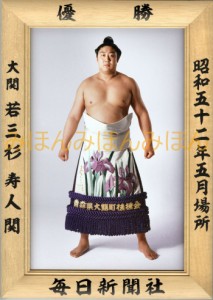 若三杉寿人関　優勝ミニ額 大相撲ミニ額 大相撲優勝額　昭和５２年５月場所 優勝 大関 若三杉寿人関（初優勝）