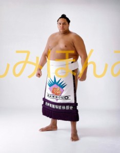 曙太郎関　優勝ミニ額 大相撲ミニ額 大相撲優勝額　平成４年１１月場所 優勝 大関 曙太郎関（２回目の優勝）