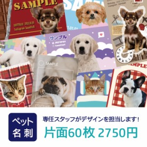 ペット名刺 かわいい デザインテンプレート 86種類 大好きなペットの写真を入れることができます 犬 猫 イヌ ネコ オリジナル