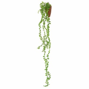 【164227.ビーンバイン】 光触媒 観葉植物 通販 フェイクグリーン おしゃれ 壁掛け フェイク 造花 吊り下げ ハンギング フック 壁 消臭 