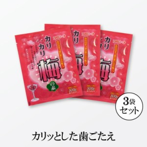 手作り カリカリ梅の素 70g(梅500g用)×３袋【ゆうパケット・送料無料】 かりかり梅 小梅 青梅 梅干し 梅漬け 梅仕事 梅漬け 簡単 てづく