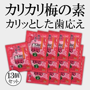 手作り カリカリ梅の素 (梅500g用)×13袋【送料無料・工場直送】 簡単 カリカリ梅 かりかり梅 漬け 青梅 小梅 梅干し コミローナ コーセ