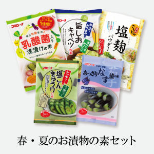 【新製品】春・夏のお漬物おためしセット 漬け物の素  送料無料 浅漬け 漬け物 粉 浅漬けの素 粉末 塩麹 塩麹パウダー 旨しおキャベツ 塩