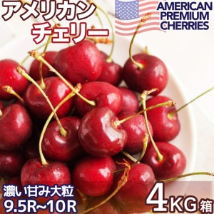 AJ`F[ 4kg  A Gi 嗱 9.510R ZÂݖ  ԗЎq N American Cherries Č茟i
