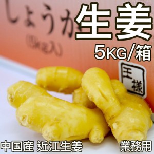 食用 生姜 特選 5kg/箱 バラ 中国産 近江生姜(黄色) 生姜原体 しょうが 辛みが強く 果肉も黄色で鮮やか 免疫力アップ食材 新鮮食材